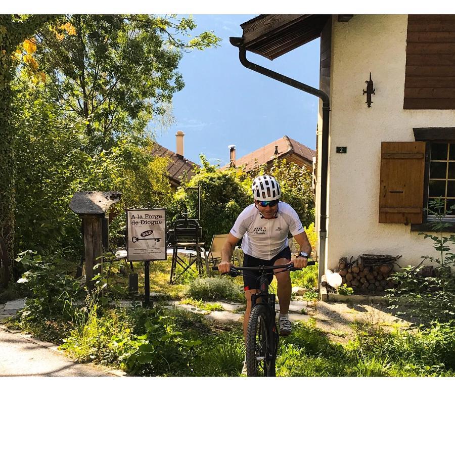 B&B La Forge De Diogne Κρανς Μοντάνα Εξωτερικό φωτογραφία